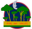 Teampartners clients escola Pins del Vallés